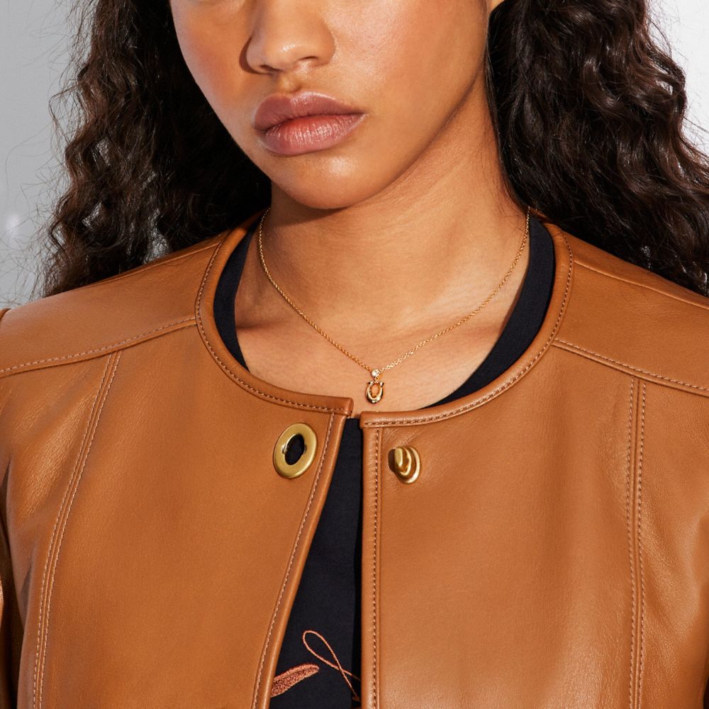 COACH®,シグネチャー クリスタル ネックレス,ネックレス,ｺﾞｰﾙﾄﾞ/ｸﾘｱ