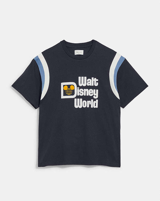 WALT DEINEY World キャラクタープリントTシャツ メンズL /eaa359982