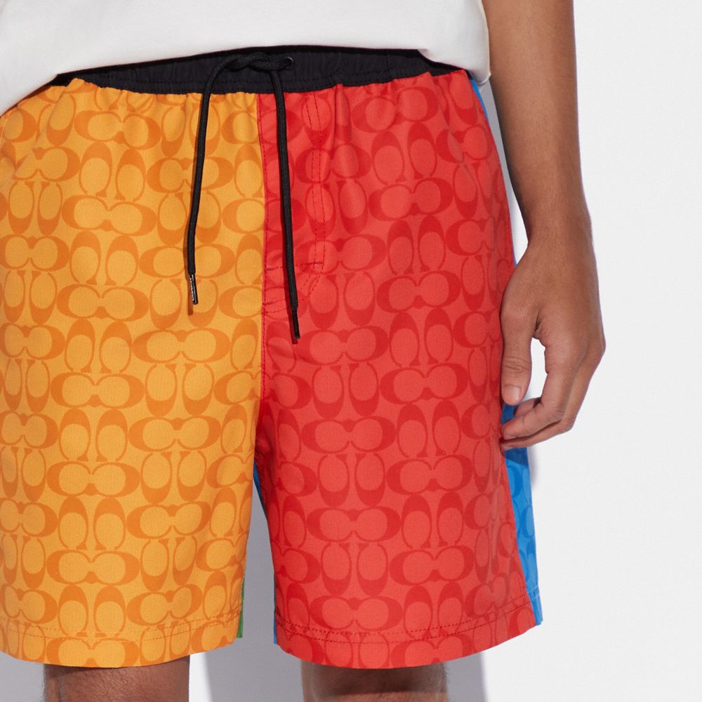 Colorblock Signature Swim Trunks