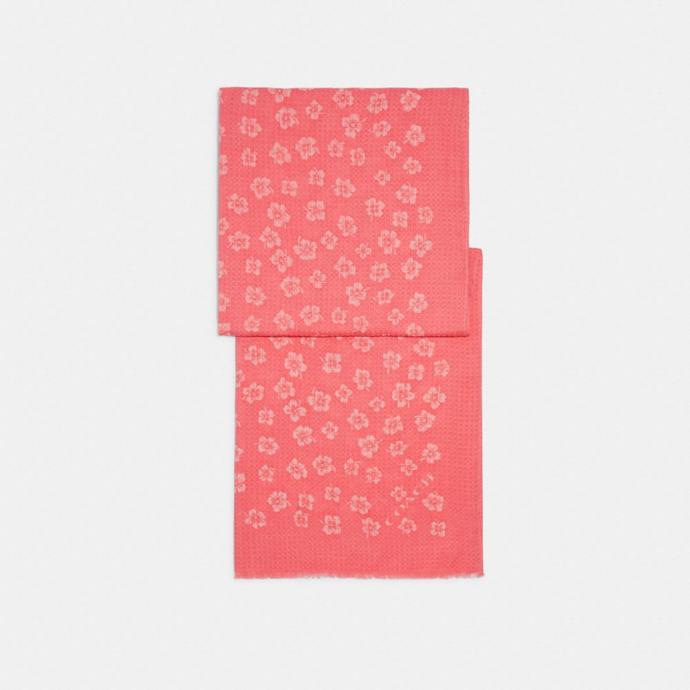 Graphic Ditsy Print Oblong Scarf