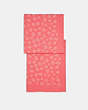 COACH®,GRAPHIC DITSY PRINT OBLONG SCARF,cotton,Pink Lemonade,Front View
