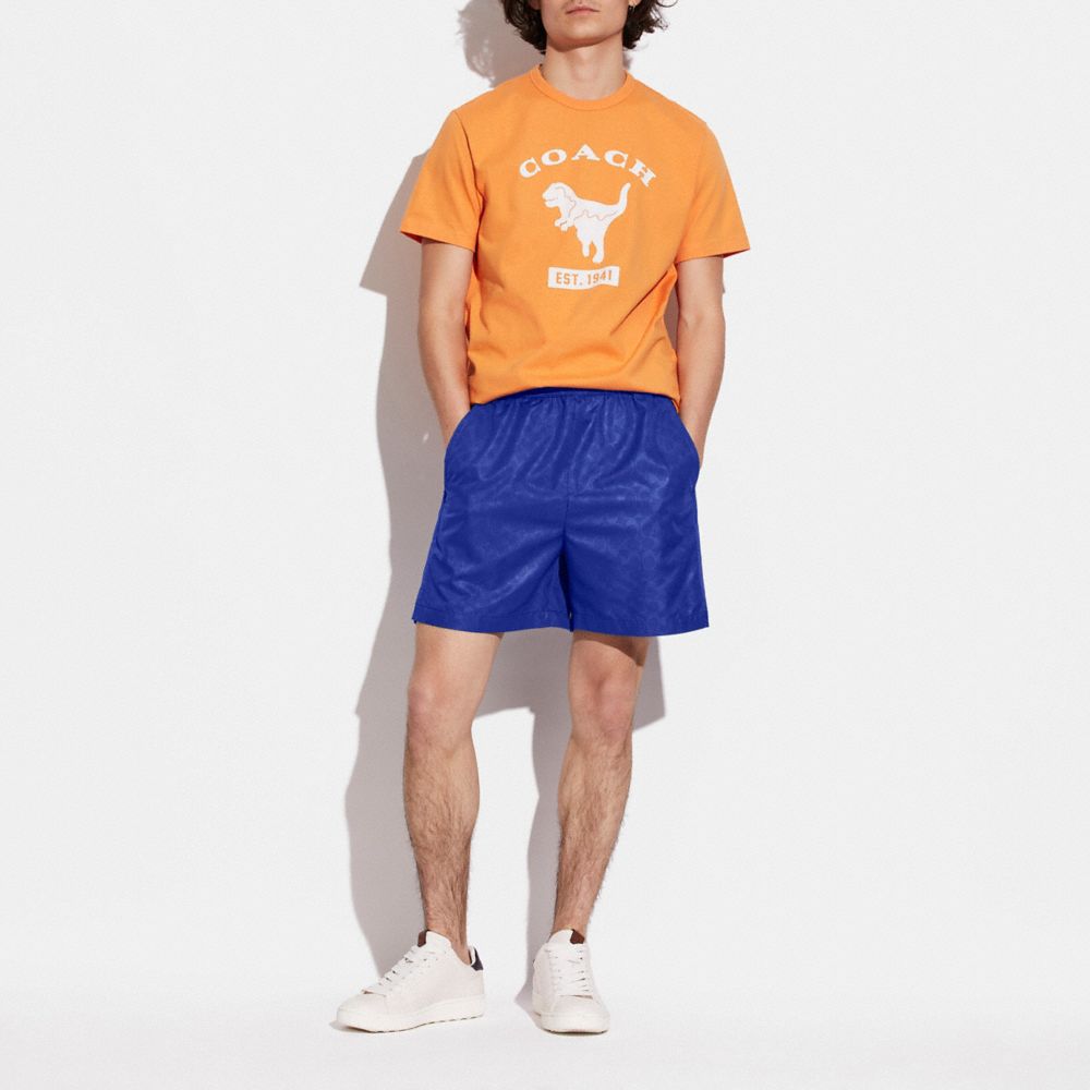 Polyester hot sale coaches shorts