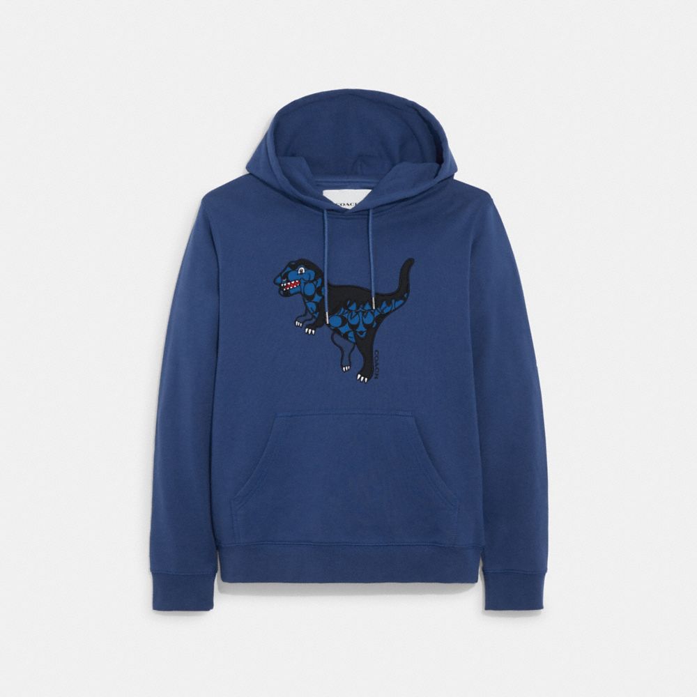 Coach store dinosaur hoodie