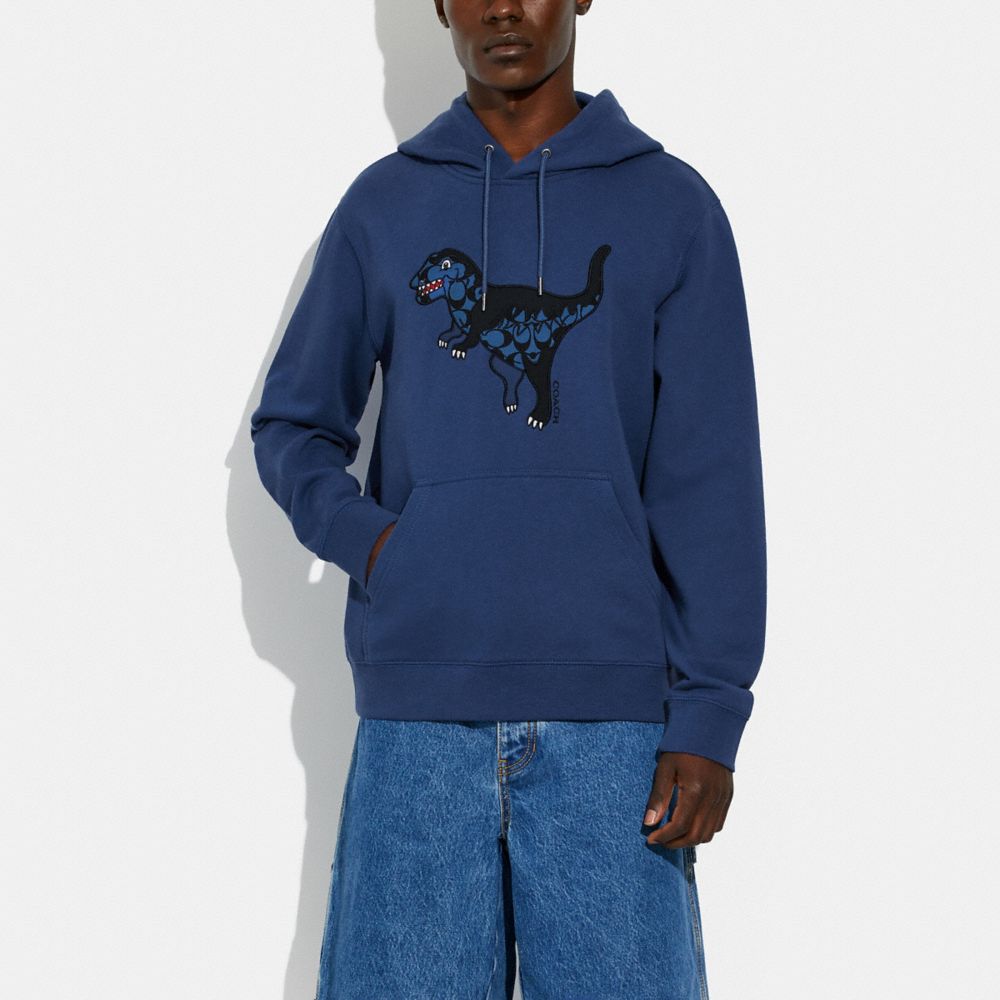 Louis Vuitton Graphic Hooded Pullover Dark Blue. Size M0