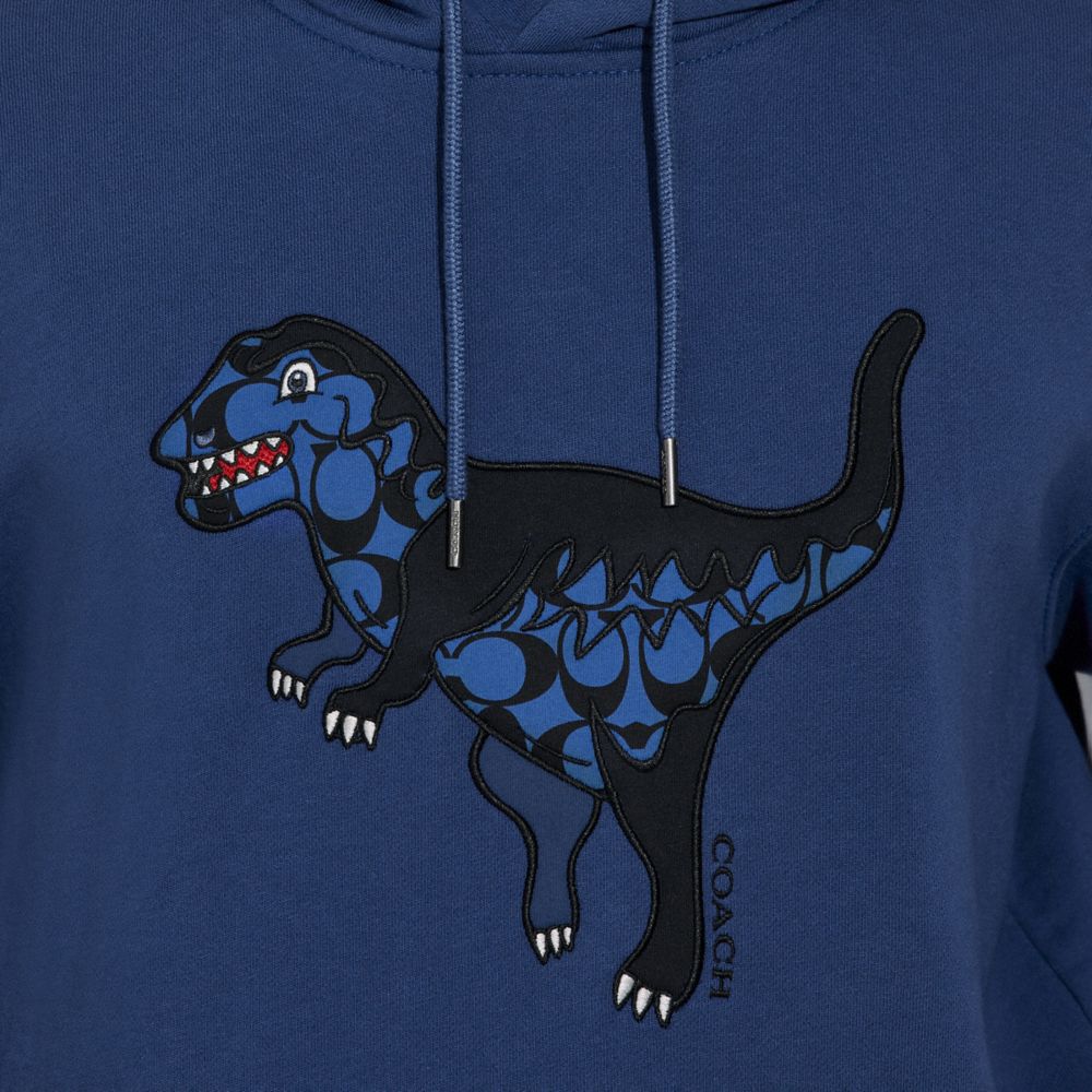 Coach 2025 dinosaur sweatshirt