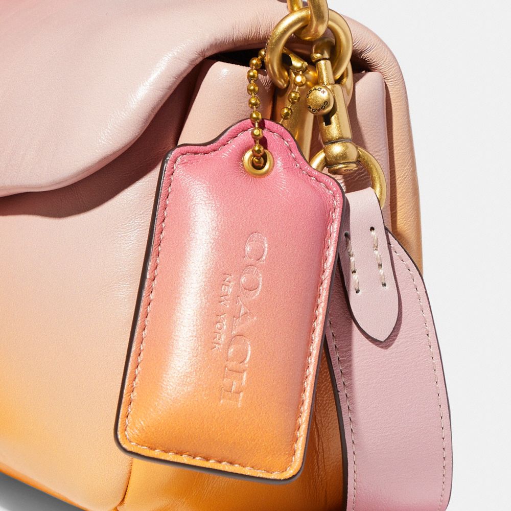 Coach pink ombre on sale purse