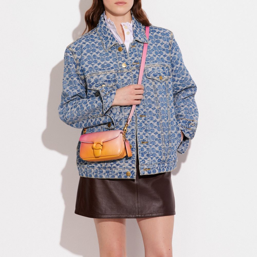 Pillow Tabby Shoulder Bag 18 With Ombre
