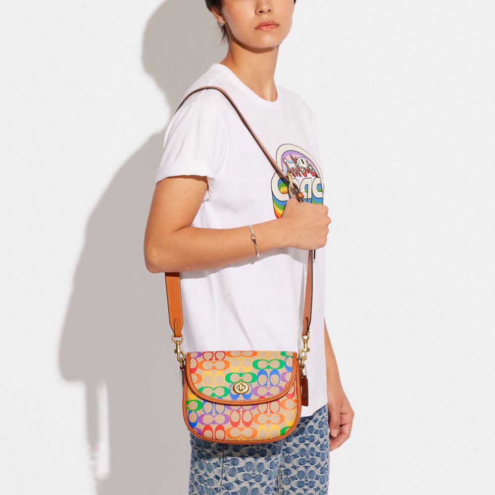 Sac de selle Willow en toile signature arc-en-ciel