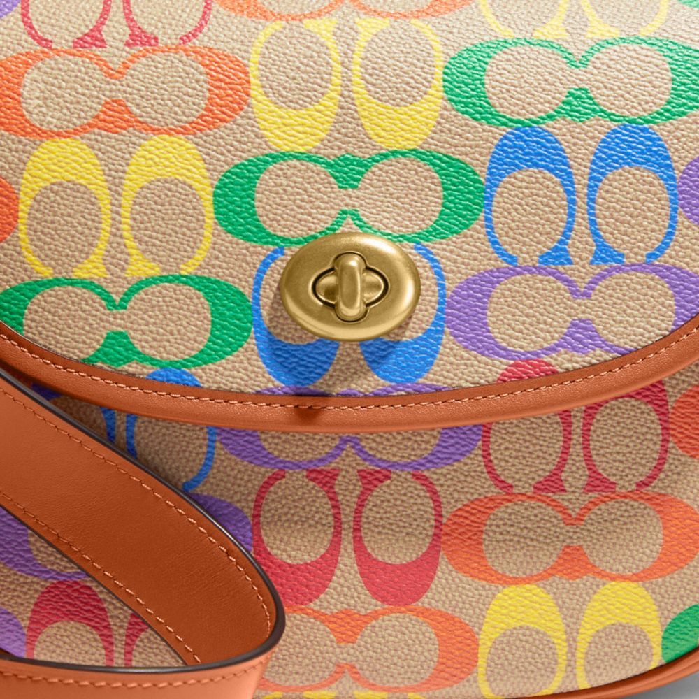Sac de selle Willow en toile signature arc-en-ciel
