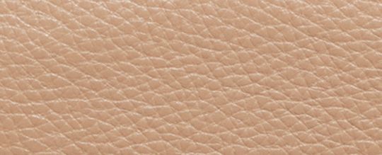 COACH&reg;,Teri Shoulder Bag In Colorblock,Leather,Shoulder Bag,Color Block,Piping,Gold Metal,Day Party,Beige