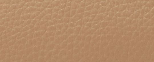 COACH&reg;,Teri Shoulder Bag In Colorblock,Leather,Shoulder Bag,Color Block,Piping,Gold Metal,Day Party,Beige