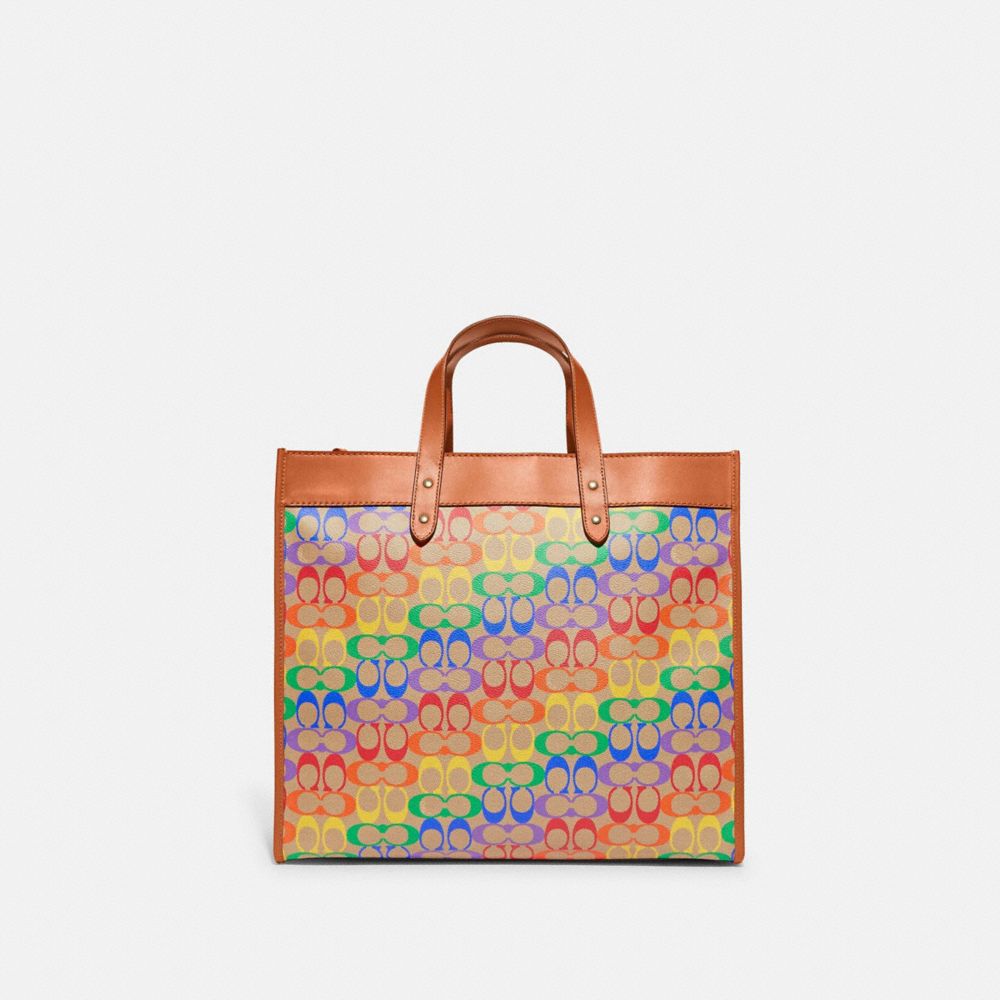 Field Tote 40 In Rainbow Signature Canvas