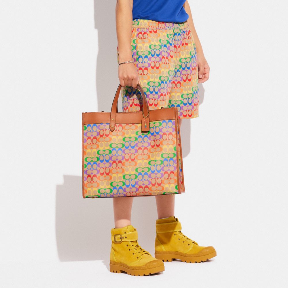 Field Tote Bag 40 In Rainbow Signature Canvas