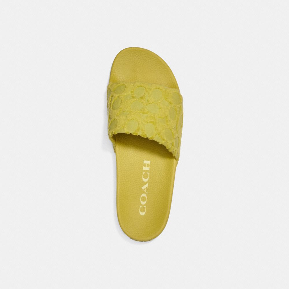 Coach discount yellow slides