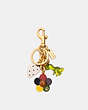 COACH®,MIXED CHARMS CLUSTER BAG CHARM,resin,Mini,Brass/Multi,Front View