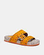 COACH®,ALLY SANDAL,Suede,Papaya/Stone,Front View