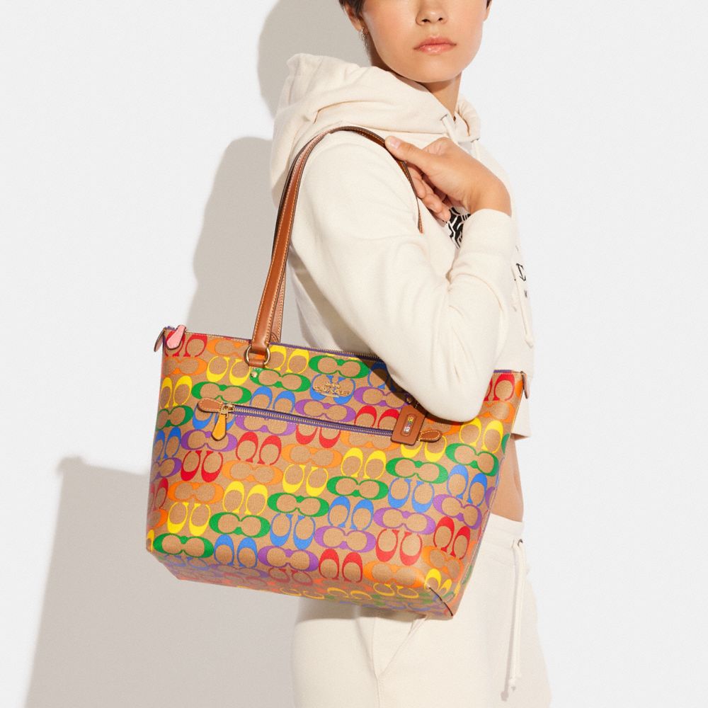 Rainbow best sale coach purse