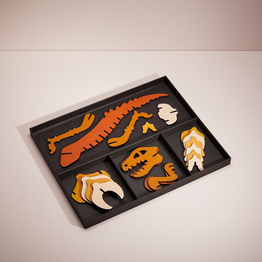 COACH® | Remade Oversized Colorblock Rexy 3 D Puzzle