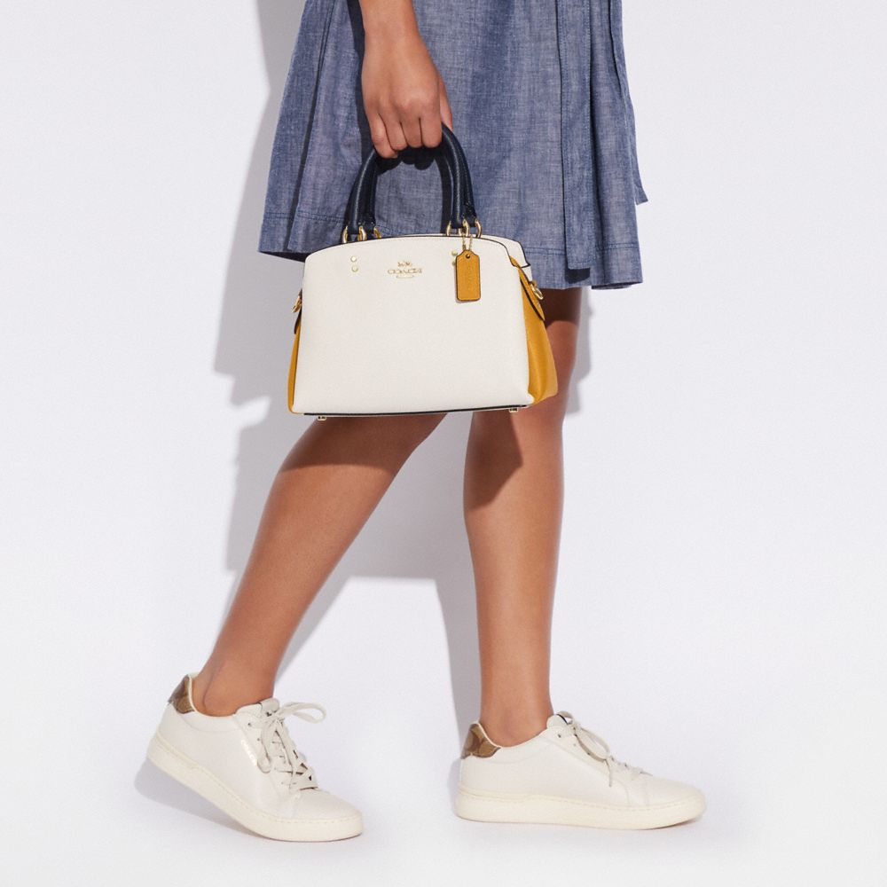 Mini Lillie Carryall In Colorblock