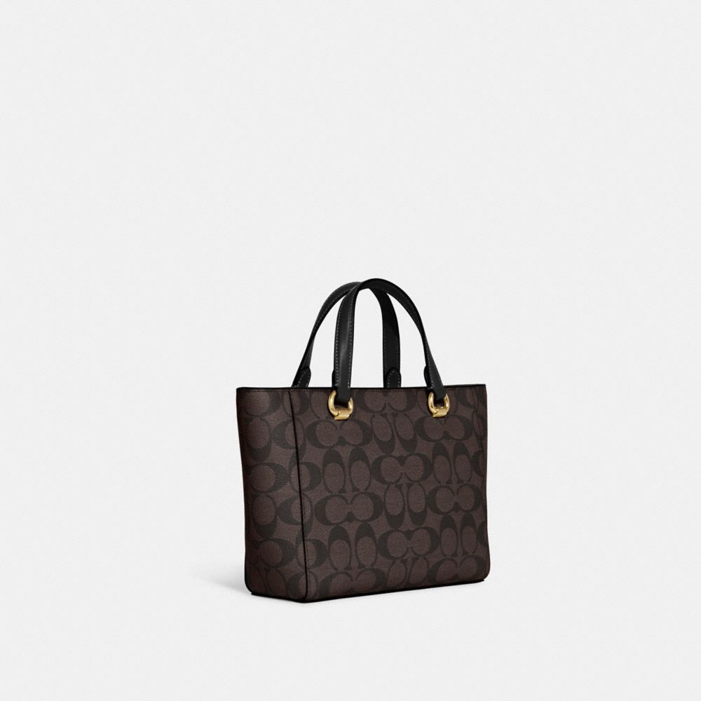 COACH®,Alice Satchel In Signature Canvas,,Angle View
