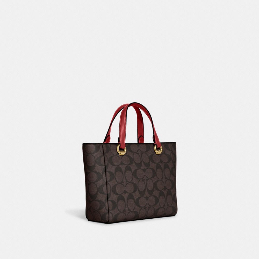 Alice Satchel In Signature Canvas