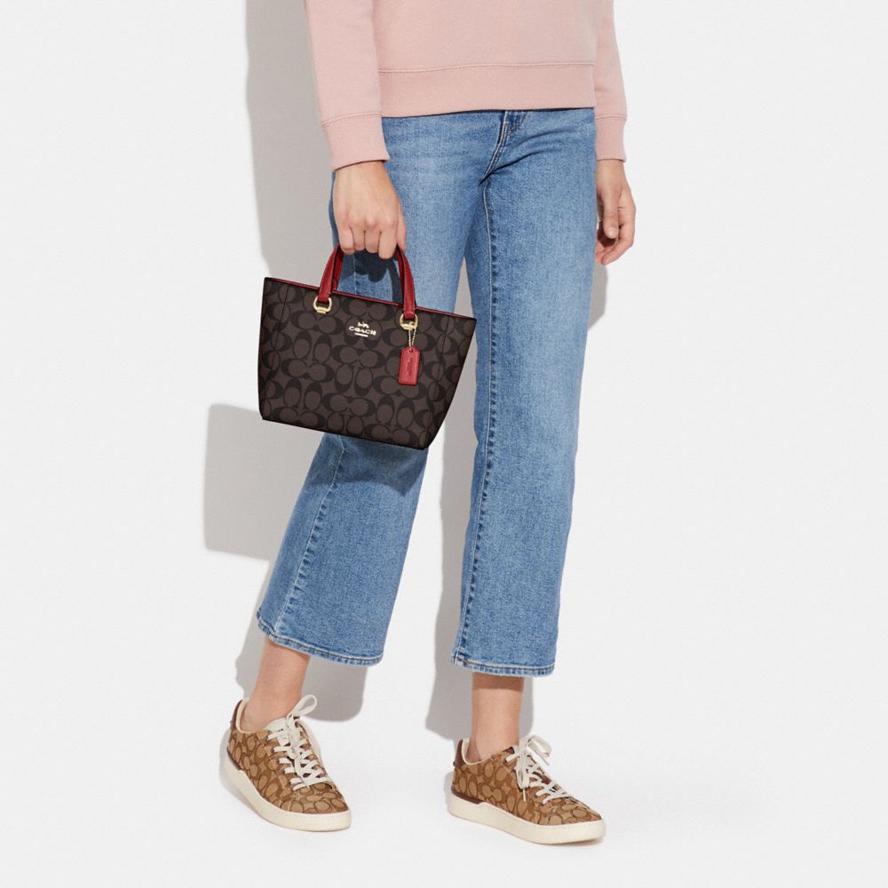 Alice Satchel In Signature Canvas