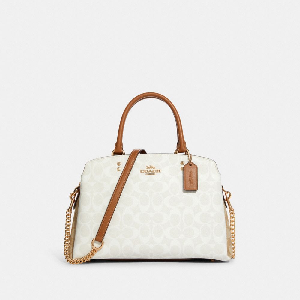 Coach lillie carryall online size