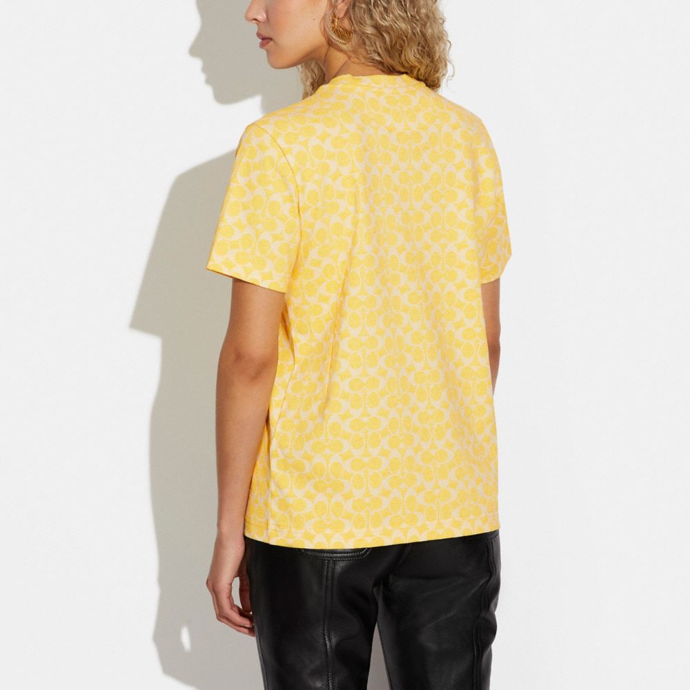 Signature Stay Messy T Shirt In Organic Cotton