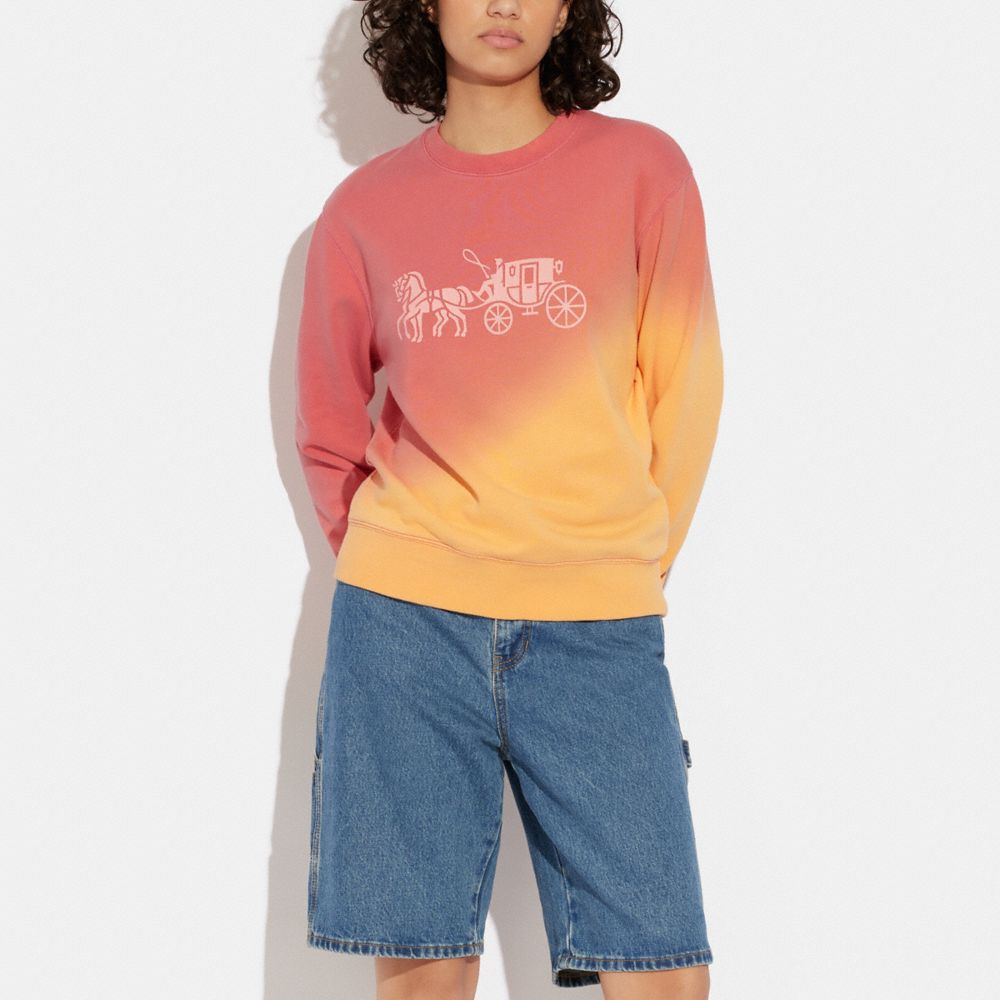 Stüssy dégradé hot sale cotton sweatshirt