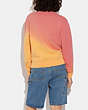 COACH®,OMBRE HORSE AND CARRIAGE CREWNECK IN ORGANIC COTTON,Organic Cotton,Multi,Scale View