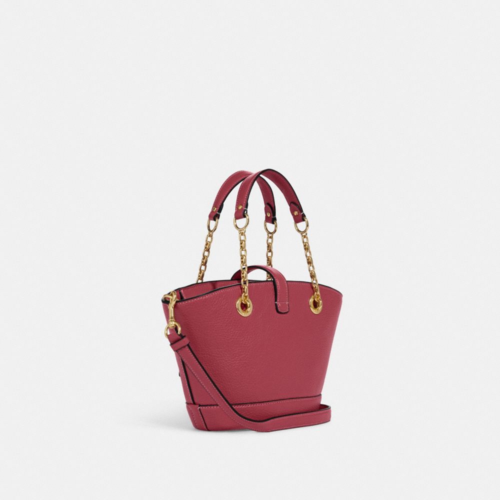 coach lane bucket bag