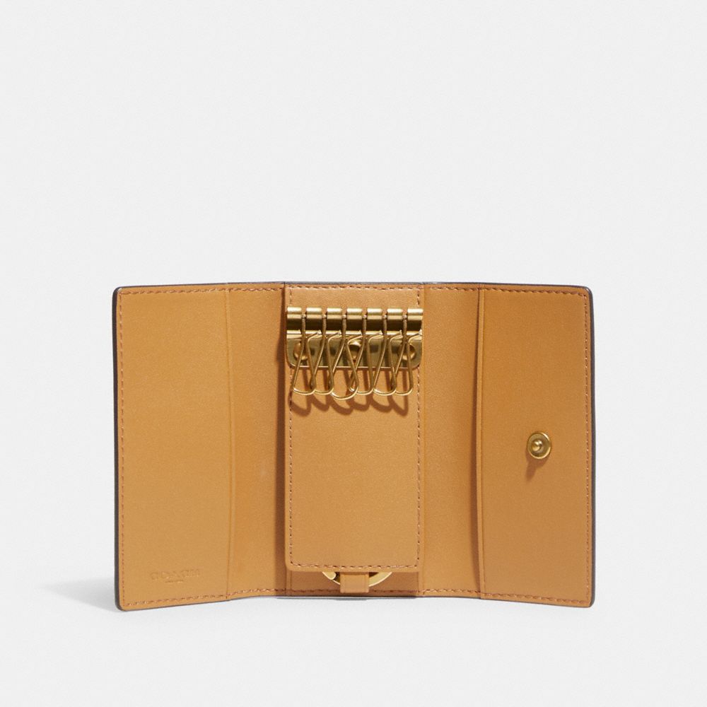 COACH®,6 リング キー ケース ウィズ フローラル プリント,キーケース,ﾌﾞﾗｽ/ﾁｮｰｸ ﾏﾙﾁ