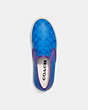 COACH®,SLIP ON SKATE SNEAKER,Bright Blue,Inside View,Top View