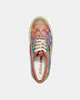 COACH®,CITYSOLE SKATE SNEAKER IN RAINBOW SIGNATURE CANVAS,Signature Coated Canvas/Leather,Multi,Inside View,Top View