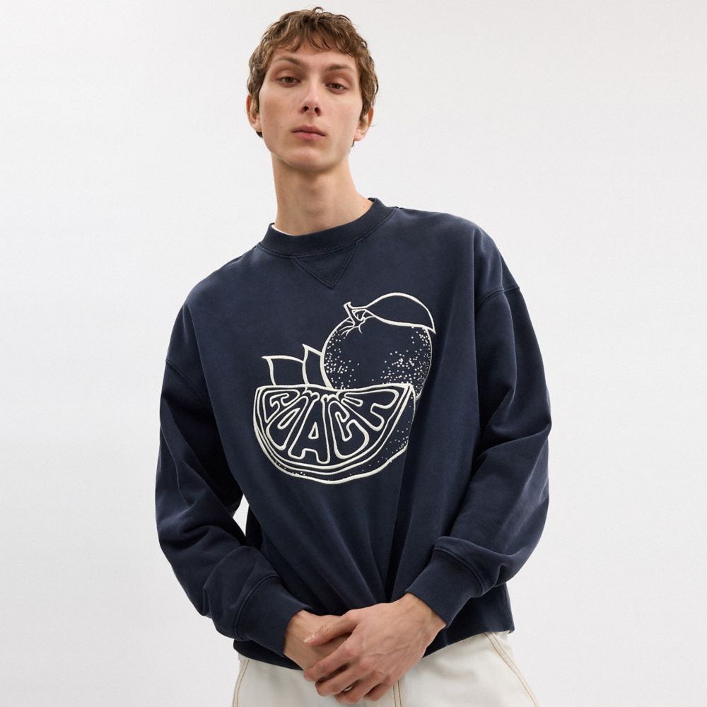 COACH®,オレンジ クルーネック スウェットシャツ,トップス&パンツ,ｳｫｯｼｭﾄﾞ ﾈｲﾋﾞｰ