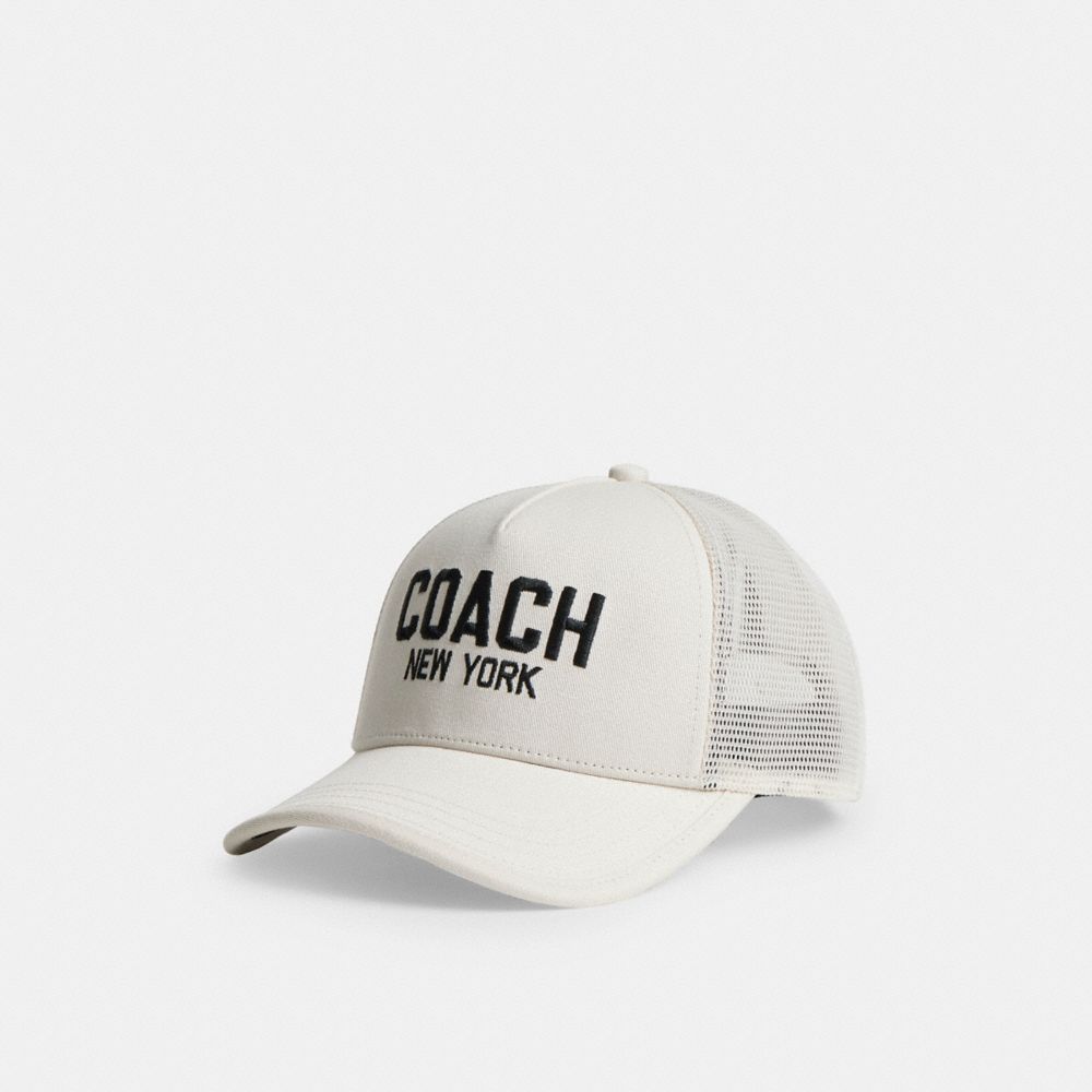Coach In Chalk