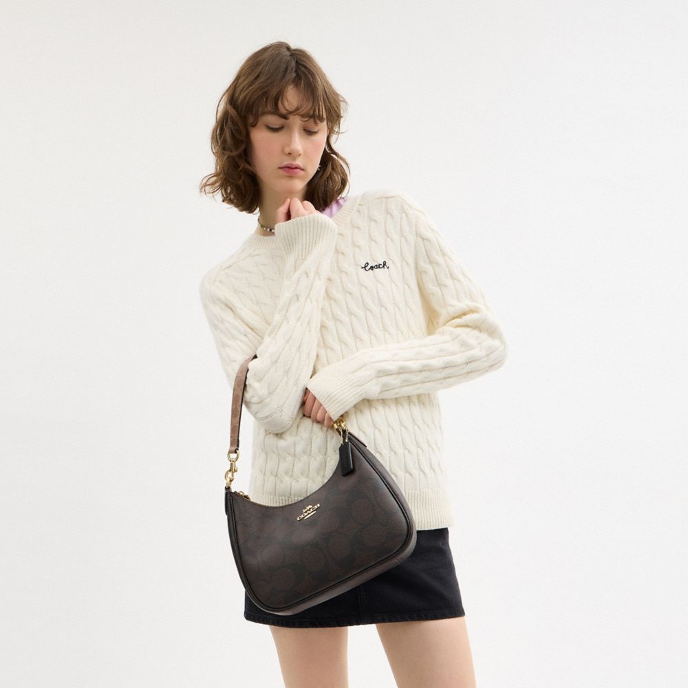 COACH®,Teri Hobo Bag In Blocked Signature Canvas,Canvas,Shoulder Bag,Casual,Brown,Detail View