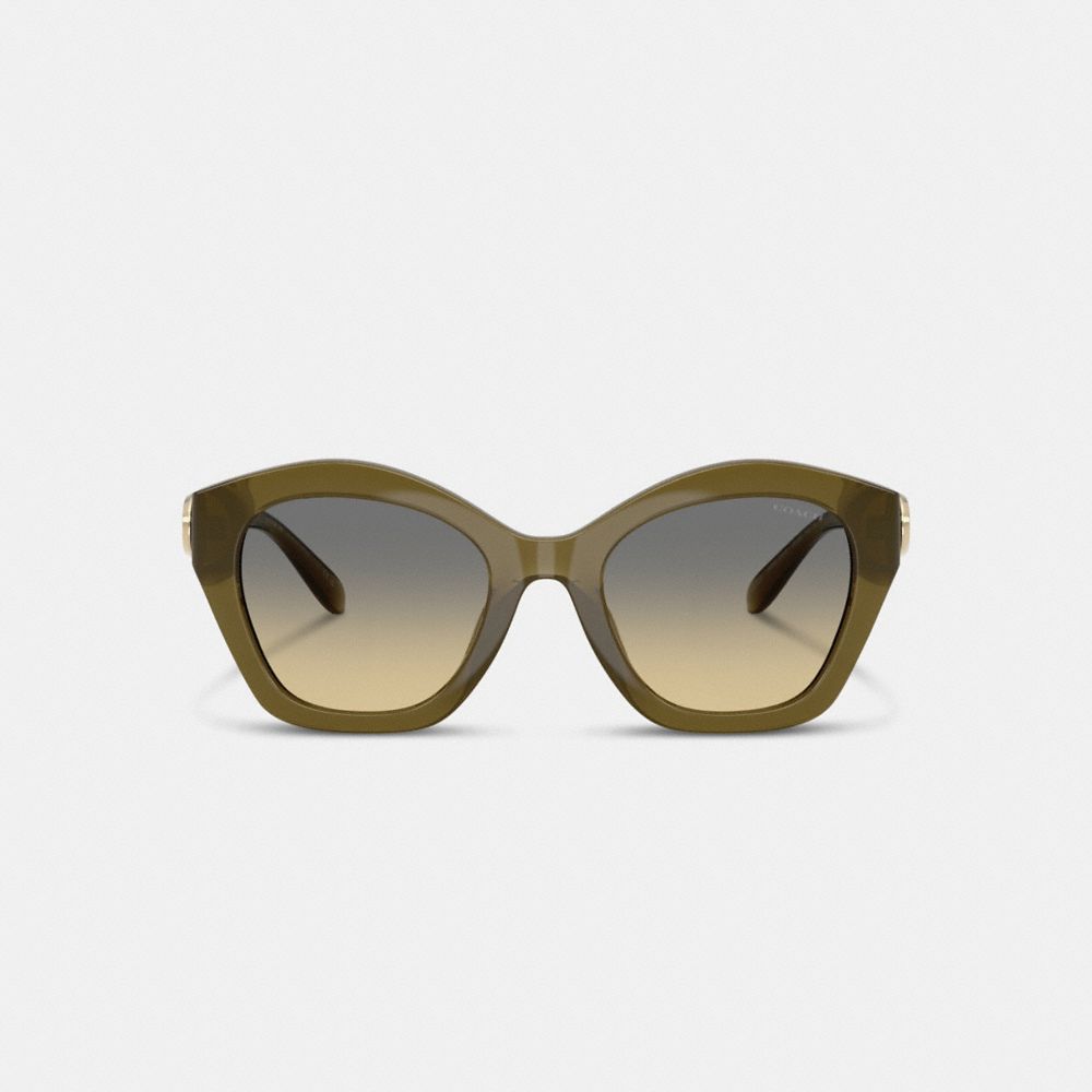 Coach Maxi Sculpted C Oversized Geometric Sunglasses In Green