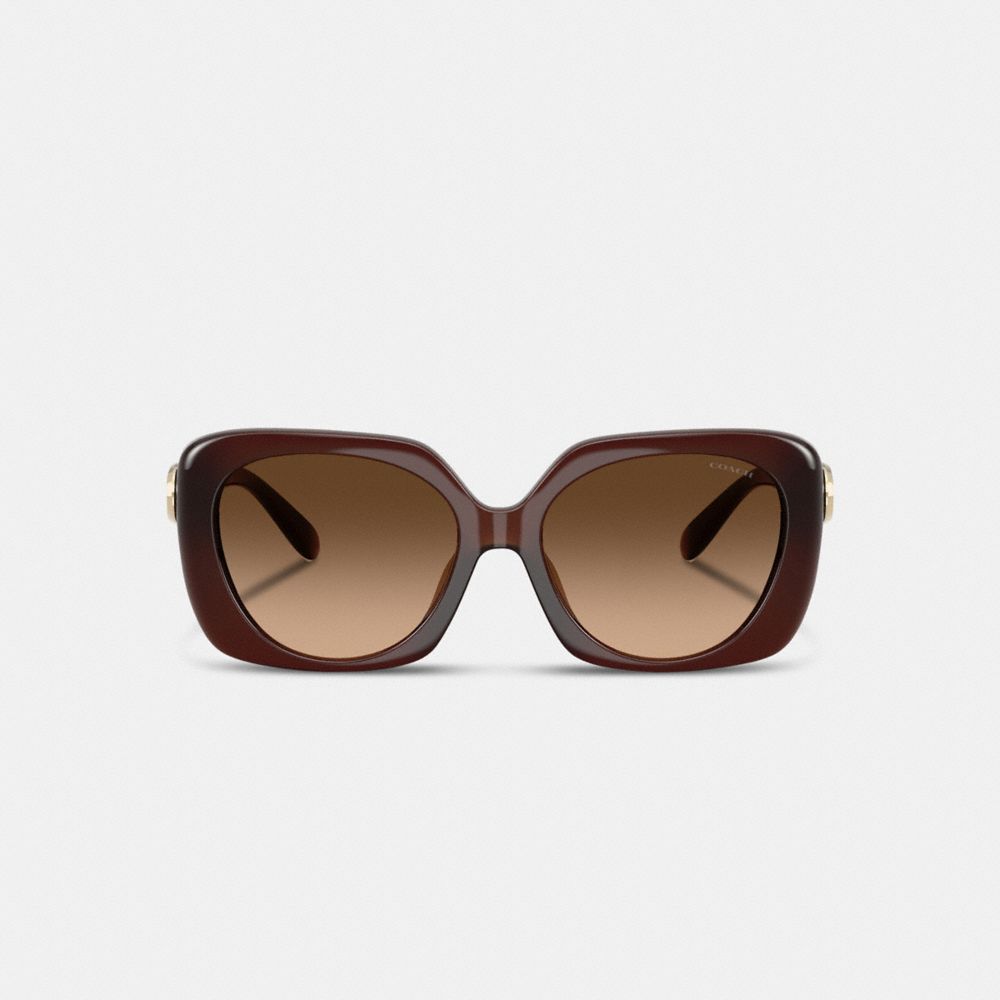 Coach Maxi Sculpted C Oversized Square Sunglasses In Brown