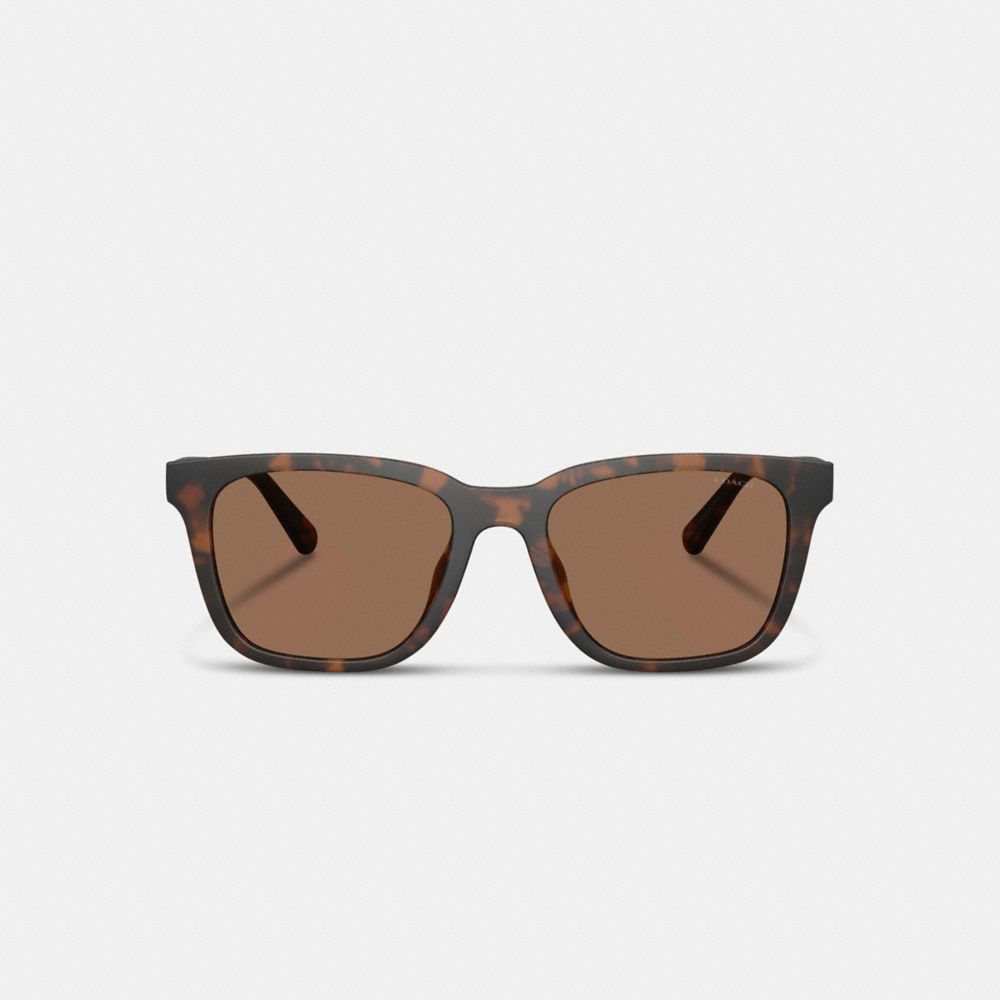Coach C Hardware Textured Temple Square Sunglasses In Brown