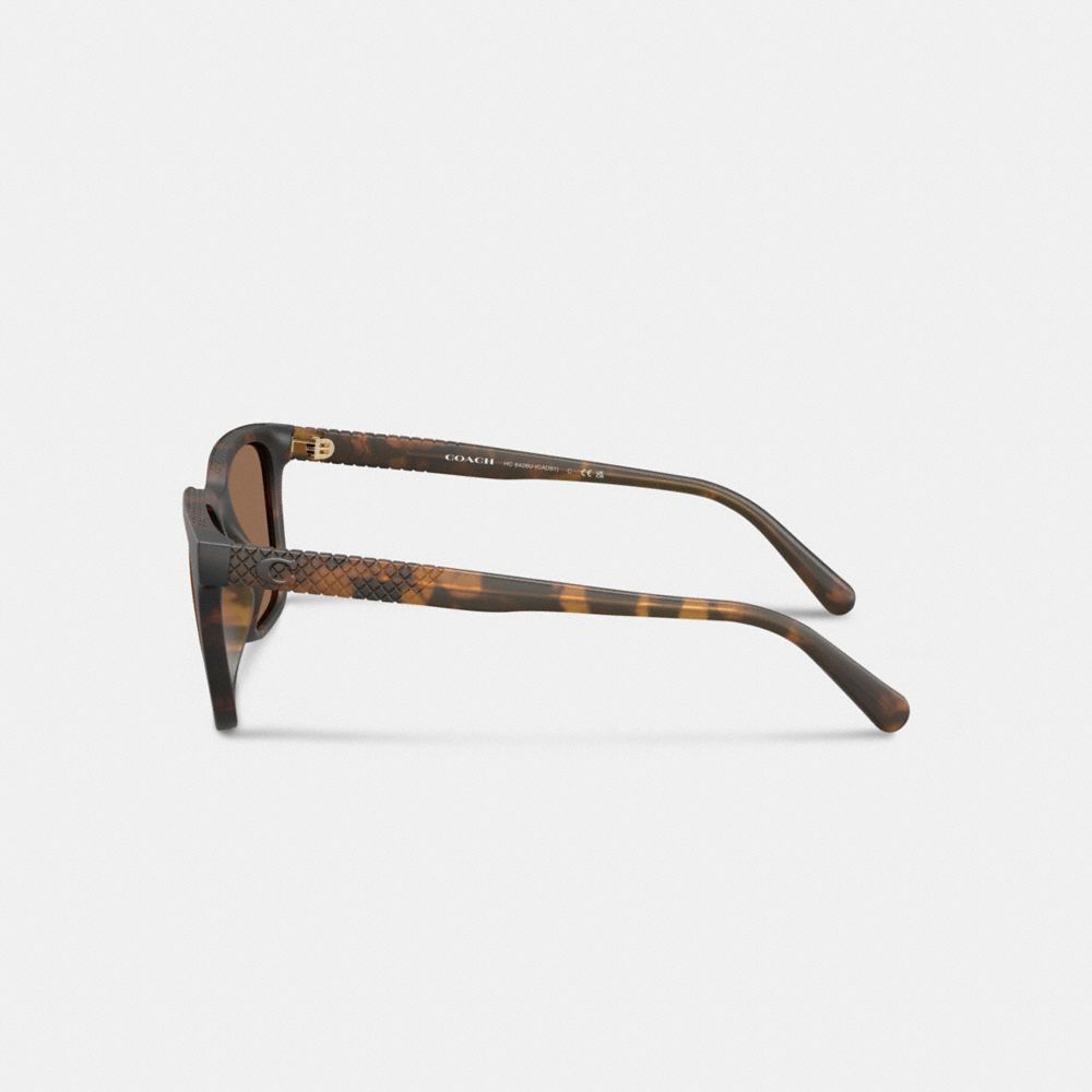 Coach C Hardware Textured Temple Square Sunglasses In Brown