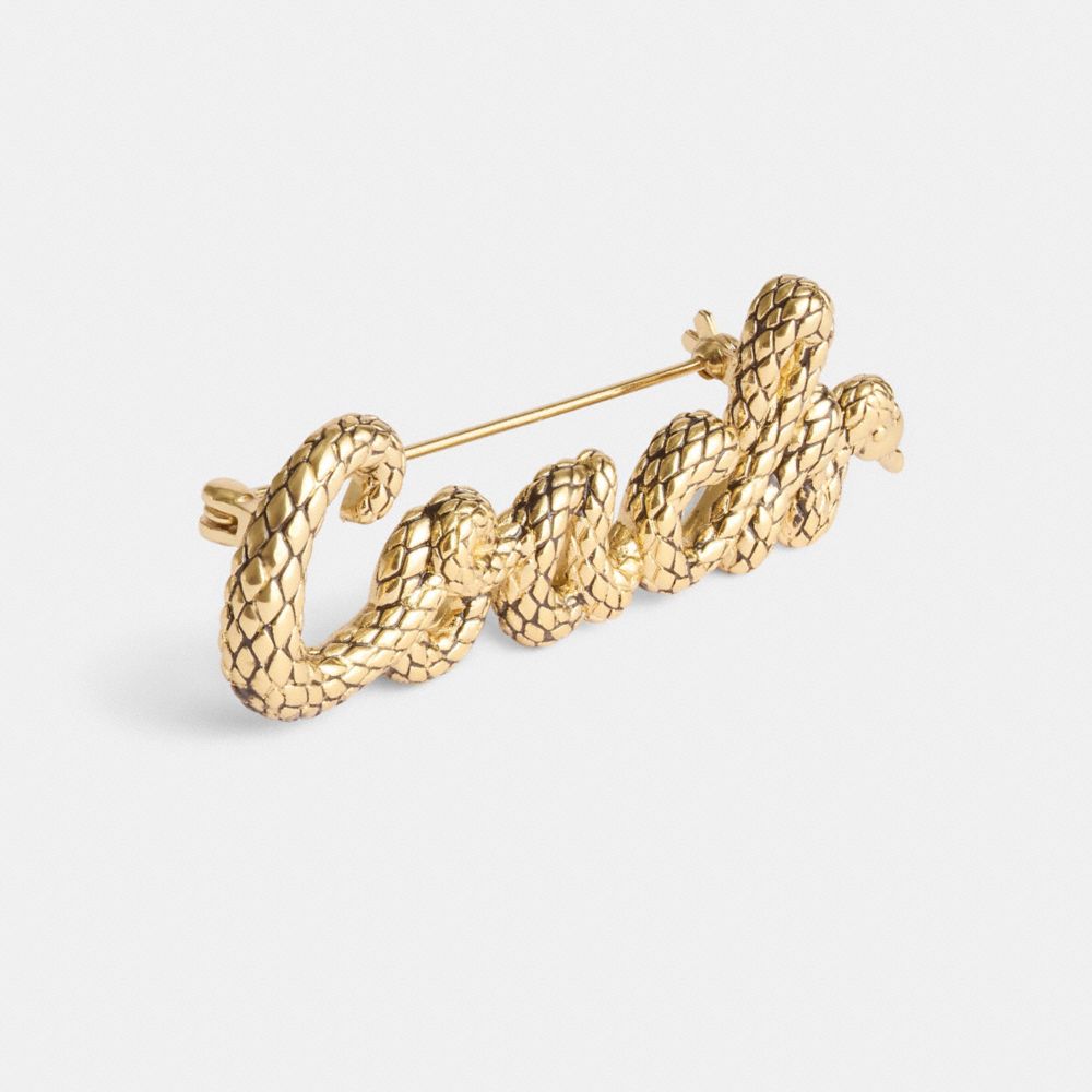 COACH®,New Year Coach Snake Script Brooch,Brooch,Cubic Zirconia,Logo,Casual,,Alternate View