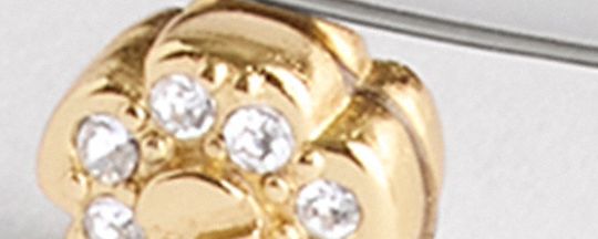 COACH®,Pegged Hinged Bangle,Crystal,Cubic Zirconia,Day Party,Clear