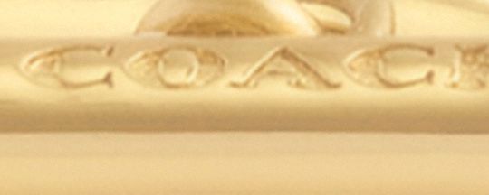 COACH®,Skeletal Rexy Signature Chain Bracelet,Glass,Cubic Zirconia,Crystal,3D Embellishment,Novelty Embellishment,Casual,