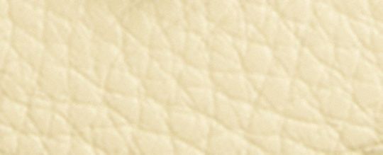 COACH®,Teri Mini Crossbody Bag With Floral Applique,