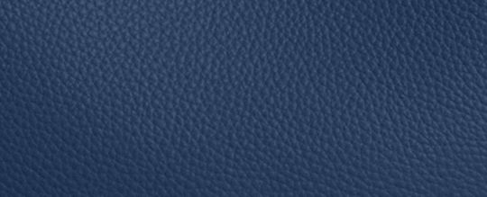 Oro/Azul oscuro