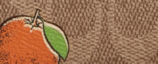 COACH®,Mini Rowan Crossbody Bag In Signature Canvas With Orange Print,