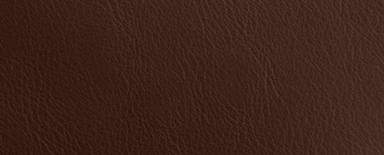COACH®,MANHATTAN TOTE,Laiton/Érable