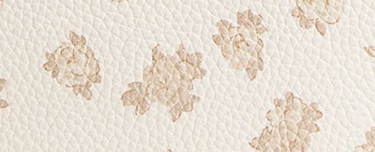 COACH®,PETIT WRISTLET ESSENTIEL AVEC MOTIF FLEURI,Argent/Craie multi