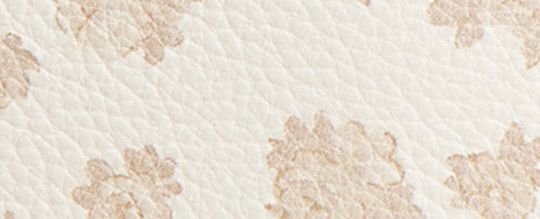 COACH®,Essential Cosmetic Pouch With Floral Print,Cream